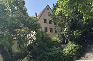 Wohnung mieten in 74189 Weinsberg, Charmante 4-Zimmer Wohnung in Weinsberg - "gesund wohnen" im Kulturdenkmal