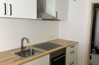 Wohnung mieten in 67067 Maudach, Schöne Souterrain mit Großer Terrasse