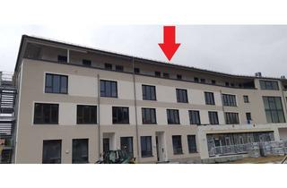 Wohnung mieten in Biberacher Straße, 88416 Ochsenhausen, Ochsenhausen barrierefreie Wohnung Rottuminsel