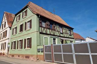 Wohnung mieten in 67361 Freisbach, Grosse 4-Zimmer Wohnung mit schönem Badezimmer zum Erstbezug nach Renovierung