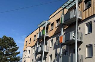 Wohnung mieten in Johannisstr. 196, 90419 Nürnberg, ERSTBEZUG! 2 Zimmer Wohnung mit Dachterrasse im 4. OG mit Aufzug