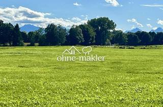 Grundstück zu kaufen in 86971 Peiting, Erschlossenes Baugrundstück