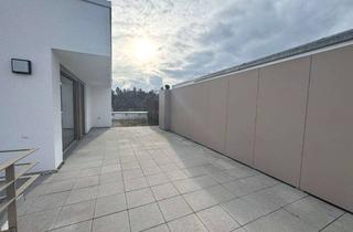 Penthouse mieten in Stuttgarter Straße, 72622 Nürtingen, Schöne Penthousewohnung mit großzügiger Dachterrasse