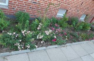 WG-Zimmer mieten in Mönkhofer Weg 23, 23562 St. Jürgen, Suche Mitbewohner (m/w/d) für WG in Uni Nähe