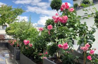 WG-Zimmer mieten in 40549 Heerdt, EXKLUSIVES WOHNEN MIT CONCIERGE & SPA – DÜSSELDORF