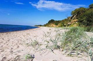 Haus kaufen in 23942 Dassow, Mee(h)r • Haus • Land • Wald!