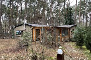 Haus kaufen in Birkenallee 21, 14822 Borkwalde, Freizeitgrundstück mit Bungalow in Borkwalde