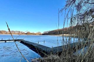 Haus kaufen in 17094 Cammin, Mecklenburgische Seenplatte, gemütlicher Ferienbungalow mit Kaminofen - nur wenige Schritte zum Camm