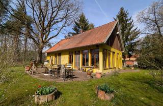 Einfamilienhaus kaufen in 29693 Ahlden, Einfamilienhaus/Ferienhaus mit großem Waldgrundstück auf über 11000 m²