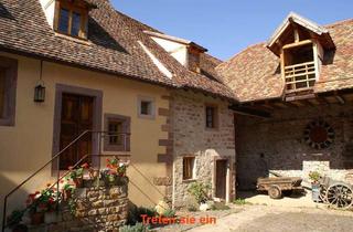 Haus mieten in Hauptstraße 60, 67273 Weisenheim am Berg, Historisches Winzerhaus mit 3 Wohnungen