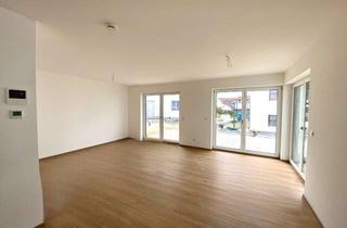 Haus mieten in 85276 Pfaffenhofen, Doppelhaushälfte zur Miete, Pfaffenhofen