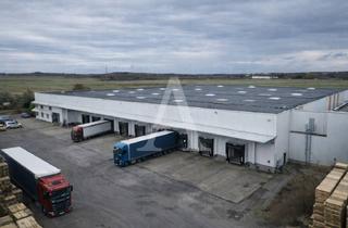 Gewerbeimmobilie mieten in 53340 Meckenheim, LOGISTIKHALLE IN MECKENHEIM | RAMPENTORE | BEHEIZBAR | ZEITNAH VERFÜGBAR
