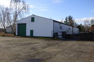 Gewerbeimmobilie mieten in 14550 Groß Kreutz, Geräumige Halle zu Lagerzwecken zu vermieten. Fläche teilbar !