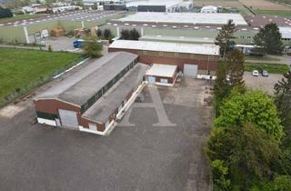 Gewerbeimmobilie mieten in 53340 Meckenheim, LAGERFLÄCHEN + PRODUKTIONSHALLE IN MECKENHEIM | PROVISIONSFREI | EBENERDIG | 7,00 m UKB | BÜRO