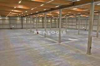 Gewerbeimmobilie mieten in 94377 Steinach, NEUBAU nach Ihren Wünschen! ca. 11.000 m² warten auf einen neuen Mieter