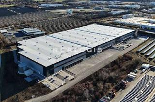 Gewerbeimmobilie mieten in 99428 Nohra, Nohra | ca. 30.700 m² | Logistikneubau | sofort anmietbar ab ca. 10.000 m² | WGK 3 | Rampen
