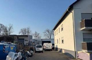 Büro zu mieten in Dieselstraße 10, 68549 Ilvesheim, Attraktive Lagerhalle mit Büro & großer Freifläche – ideal für Handwerksbetriebe (Ilvesheim bei Heid