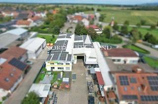 Büro zu mieten in 77966 Kappel-Grafenhausen, Gewerbeimmobilie mit Kranbahn, Büros & Außenlager auf 2.200 m² Grundstück direkt an der A5