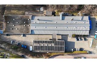 Gewerbeimmobilie kaufen in 75334 Straubenhardt, Lager und Produktionshalle