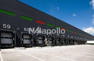 Gewerbeimmobilie mieten in 65812 Bad Soden, ! Hochwertiger Logistikstandort ✩ ca. 15.000 m² Halle ✩ Q1 2027 bezugsbereit !