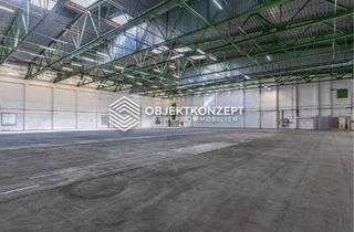 Gewerbeimmobilie mieten in 78315 Radolfzell, Flexible Logistik- und Gewerbeflächen in Radolfzell – auch für alternative Nutzungskonzepte geeignet