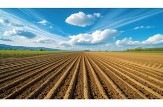 Gewerbeimmobilie kaufen in 21244 Buchholz, Landwirtschaftliche Betriebsgebäude mit Grundstück - privilegierte Nutzung (Land/Forst)