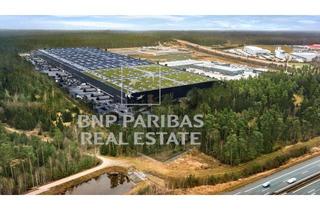 Gewerbeimmobilie mieten in Messerschmittstraße 15, 92263 Ebermannsdorf, Amberg - 2 Minuten auf die A6 - 55.000 m² WGK-Logistikflächen