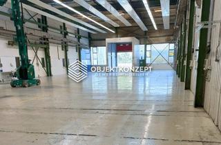 Gewerbeimmobilie mieten in 78187 Geisingen, Lager- und Produktionshalle mit ca. 875 m² – ausgestattet mit Rolltor und separater Schleuse