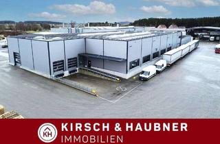 Büro zu mieten in 92353 Postbauer-Heng, Neuwertige Produktionsfläche mit Kränen und Büroflächen, Postbauer-Heng