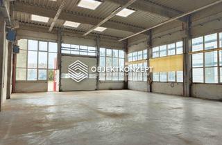 Gewerbeimmobilie mieten in 72358 Dormettingen, Großzügige Hallenfläche mit 8 m Deckenhöhe und direkter Anlieferung - optional erweiterbar