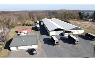 Gewerbeimmobilie kaufen in 16775 Löwenberger Land, Großes Gewerbegrundstück mit Lagerhallen und Büroräumen - Preis VB auch Miete