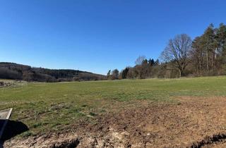 Grundstück zu kaufen in Bornstraße, 35466 Rabenau, Traumhafte Feldrandlage: Baugrundstück * Freie Bauträgerwahl *