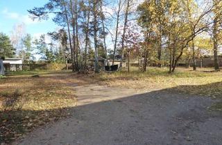 Grundstück zu kaufen in 16835 Lindow (Mark), Grundstück in ruhiger Lage mit positivem Bauvorbescheid für Einfamilienhausbebauung!