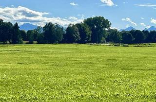 Grundstück zu kaufen in Bachfeldstraße, 86971 Peiting, Erschlossenes Baugrundstück