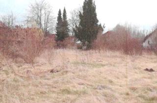 Grundstück zu kaufen in 82291 Mammendorf, Wohnbaugrundstück für EFH, EFH mit ELW oder 2 Wohnungen, voll erschlossen, sofort bebaubar
