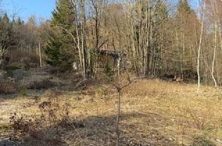 Grundstück zu kaufen in 94469 Deggendorf, Ihr Rückzugsort im Grünen – großzügiges Freizeitgrundstück mit Abrisshaus in Greising bei Deggendorf