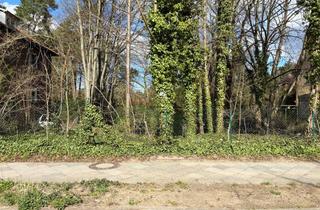 Grundstück zu kaufen in Zerndorfer Weg 31a, 13465 Frohnau, Baugrundstück für Einfamilienhaus I provisionsfrei
