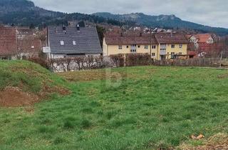 Grundstück zu kaufen in 72459 Albstadt, BESTE WOHNLAGE FÜR 1-2 FH SÜD-WEST
