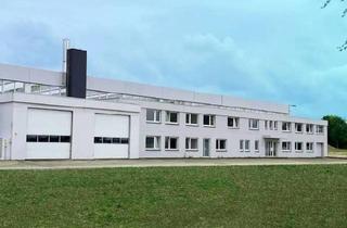 Büro zu mieten in 34434 Borgentreich, Repräsentative 250 - 500 m² Büroflächen zu vermieten!