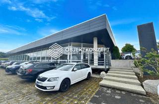 Büro zu mieten in 78244 Gottmadingen, Moderne Ausstellungs-, Büro- oder Praxisfläche in Toplage nahe A81 – sofort verfügbar