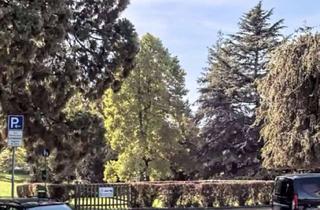 Immobilie mieten in Giebelbachstraße, 88131 Lindau, Außergewöhnlich schöne Lage, direkt am See - Möbliertes Wohnen auf Zeit in Lindau, Aeschacher Ufer