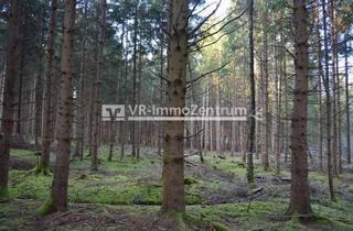 Immobilie kaufen in 86899 Landsberg, attraktives Waldgrundstück