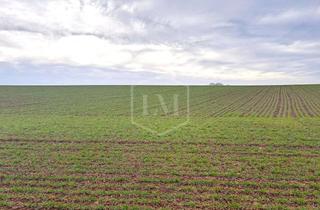 Immobilie kaufen in 38723 Seesen, Landwirtschaftliche Liegenschaft in Seesen