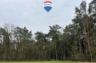 Gewerbeimmobilie kaufen in 21261 Welle, Natur pur: Waldfläche mit Ausgleichspotenzial und privater Nutzung - gegen Gebot