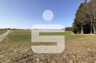 Gewerbeimmobilie kaufen in 87662 Kaltental, Grünland im Kaltental!