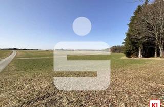 Gewerbeimmobilie kaufen in 87662 Kaltental, Grünland im Kaltental!