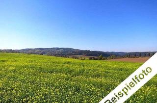 Gewerbeimmobilie kaufen in 71554 Weissach, Konvolut an Landwirtschaftsflächen