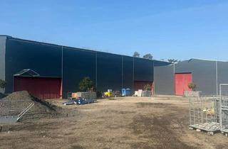 Gewerbeimmobilie kaufen in Braunscheiger Heerstraße 100, 29227 Celle, Attraktives Grundstück in Celle ca. 55 000 qm direkt an der B214 mit ca. 18 000 qm Hallenfläche