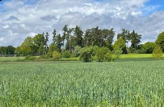 Gewerbeimmobilie kaufen in 93333 Neustadt, Attraktives Waldgrundstück im Birket bei Neustadt a.d. Donau ca. 40% Waldbestand!