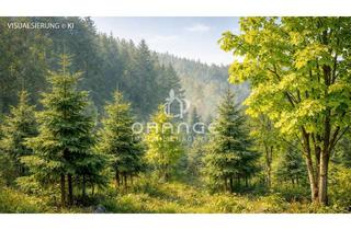 Gewerbeimmobilie kaufen in 94086 Bad Griesbach, ***Waldgrundstück bei Bad Griesbach – 2.858 m² mit jungem Baumbestand - Selbstnutzung o. Anlage!***